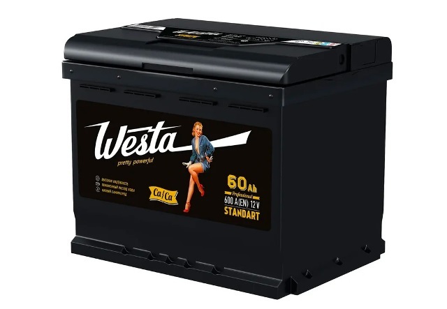 WESTA-Black-6ST-600-60 blank